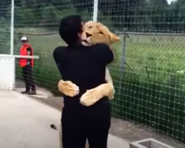 Reunion between humans and animals