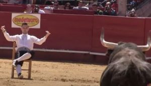 Classy bullfighters