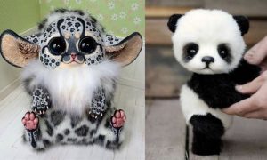 Collection of funny and cute animals