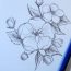 Draw flowers with pencil