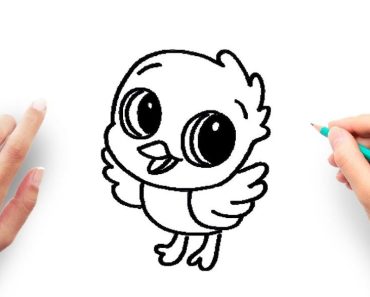 How to draw a baby bird step by step