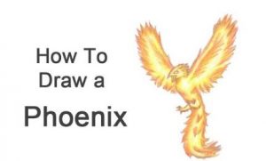 How to draw a phoenix step by step