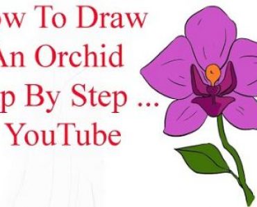 How to draw an Orchid flower step by step