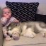 Baby and Puppy are best friends