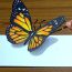 How to Draw 3D Butterfly step by step