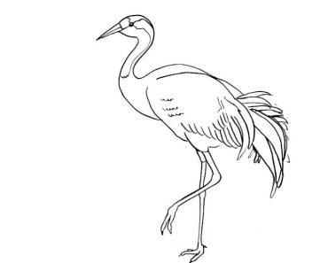 How to draw a crane step by step