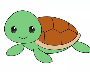 How to draw cute turtle step by step