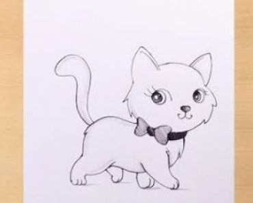 Easy drawing kittens