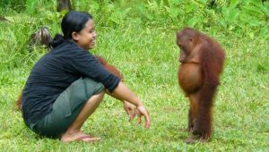 Random moments of animals