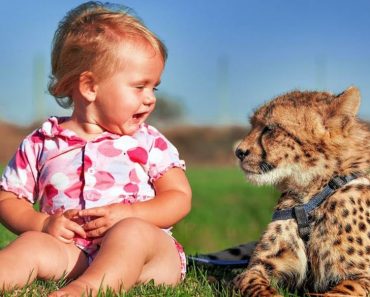 These incredibly baby friendly animals