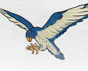 How to draw a peregrine falcon step by step