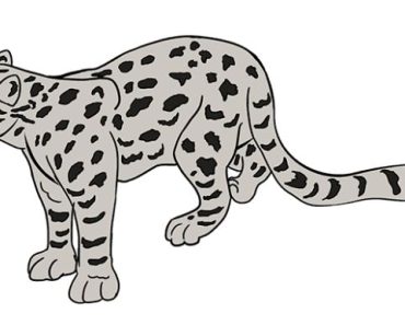 How to draw a snow leopard