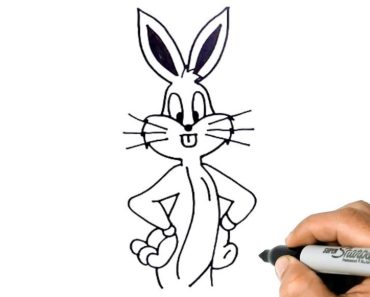 How to draw animated bunny bugs Step by Step