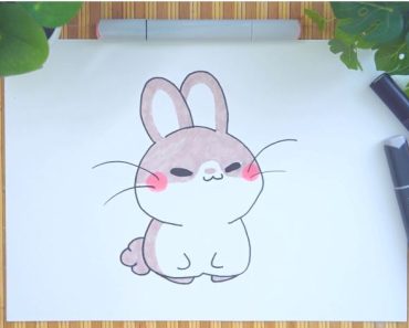 How to draw anime Bunny Step by Step