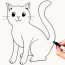 The easiest way to draw a cat