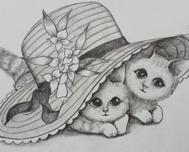 How To Draw Kittens under Hat step by step