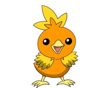 How To Draw Torchic step by step