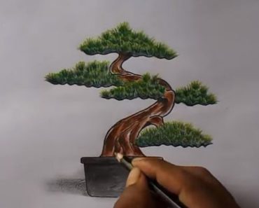 How to draw a wrong bonsai step by step