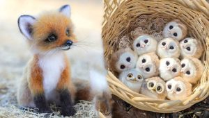 The cutest animals