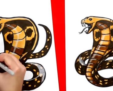 How To Draw A Snake step by step