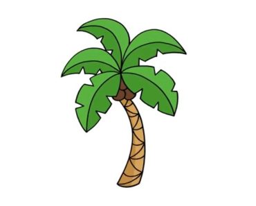 How To Draw Tropical Palm Tree step by step