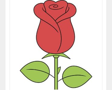 How to draw a Rose flower step by step
