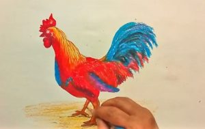 How to draw a cock step by step