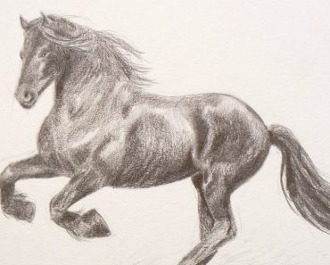 How to draw a realistic horse step by step