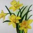 How to draw daffodils step by step