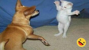 The most mischievous animals
