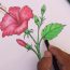 How to draw a hawaiian flower step by step