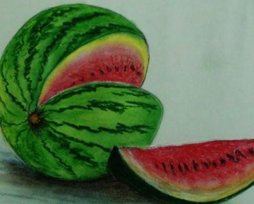 How to draw realistic watermelon step by step
