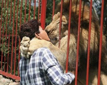 The animal's bursting emotions after many years of seeing its owner again