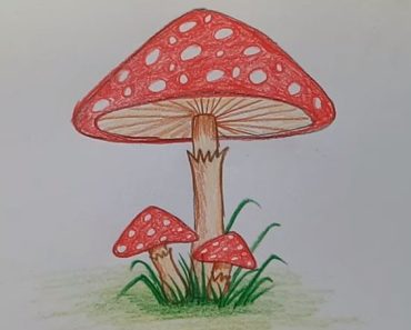 How to draw beautiful mushrooms step by step