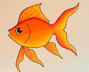 How to draw gold fish step by step