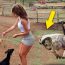 The funniest goats on the planet video