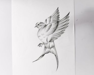 Easy to Draw flying birds step by step