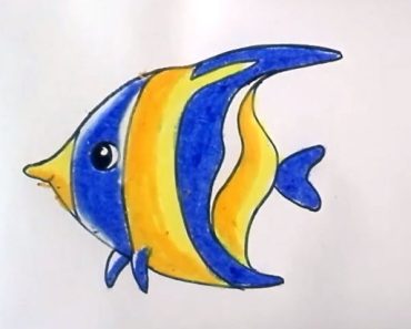 How to draw a tropical fish step by step