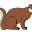 How to Draw a Mongoose step by step