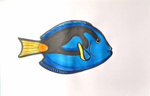 How to draw a blue tang fish step by step