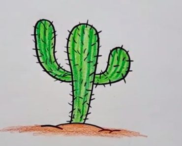 How to draw a cartoon cactus step by step