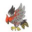 How to Draw Talonflame step by step