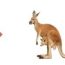 How to Draw a kangaroo step by step