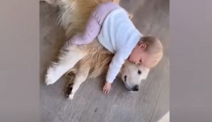 The child and the pet become best friends